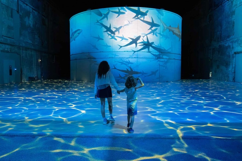 A large cylindrical aquarium with sharks swimming inside, viewed from the outside. 4