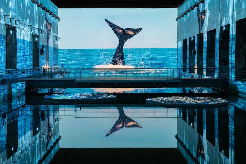 A whale tail above a pier with water reflections. 2