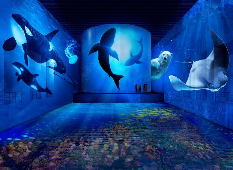 An aquarium with various marine animals, including orcas and a polar bear, swimming in large tanks. 1