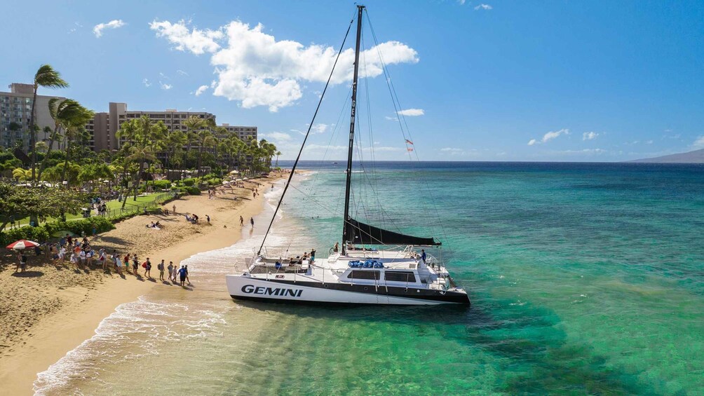 A sailboat named GEMINI docked at a beach with clear turquoise water, a sandy shore, and a backdrop of palm trees and buildings. 5