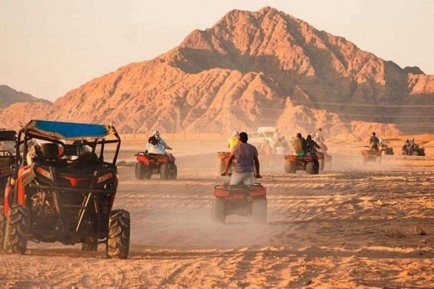 Sharm El Sheikh Family Buggy Adventure in the Sinai Desert 4
