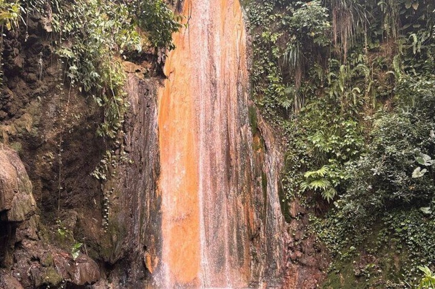 Una cascada se precipita por un acantilado rocoso rodeado de vegetación exuberante. 4