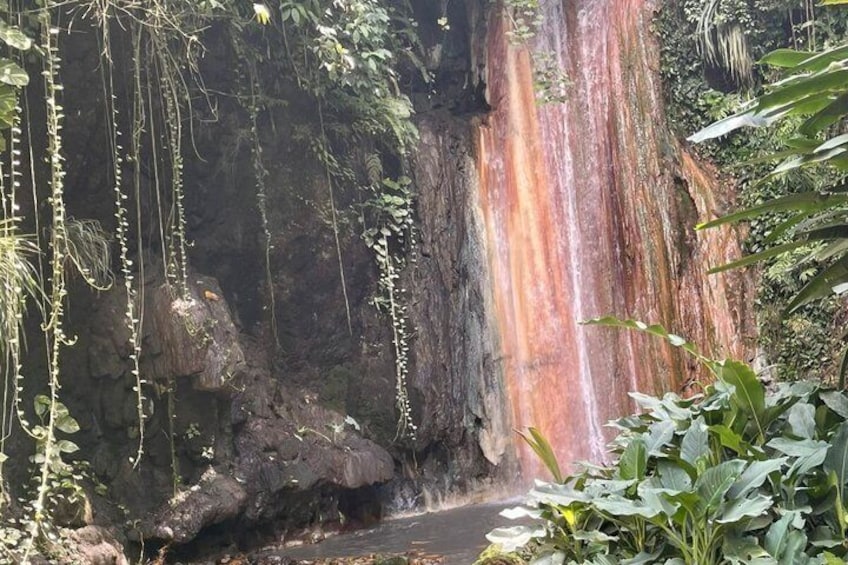 Una cascada con un risco de color marrón rojizo, rodeada de follaje y enredaderas colgantes. 1