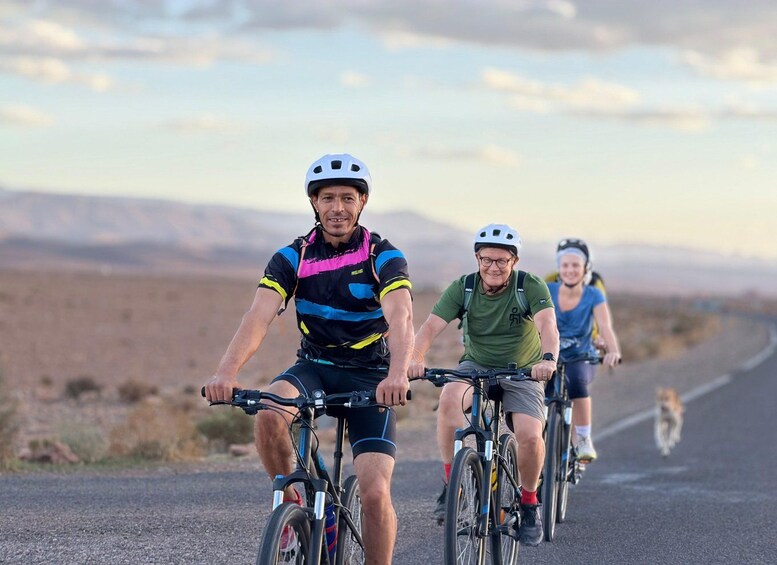 Three cyclists on a road with a dog walking beside them. 1