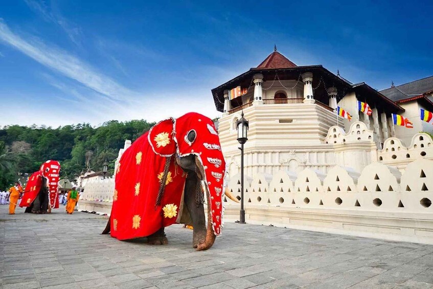 Elephants adorned with red and gold cloths, a white building with a red roof, and flags. 1