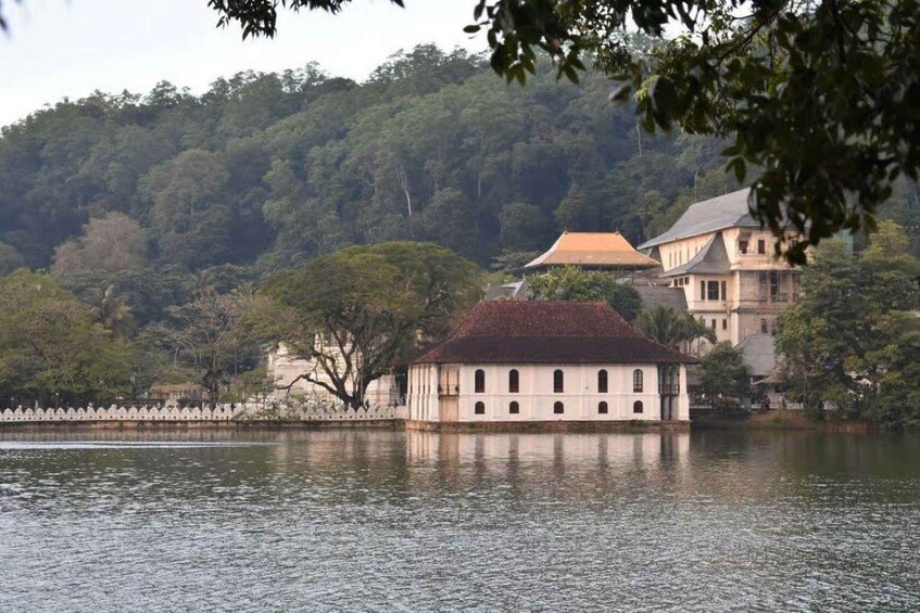 A serene lake with a traditional building featuring a red roof, surrounded by lush greenery and a white fence. 5