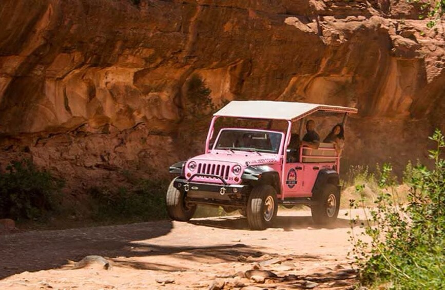 A pink off-road vehicle driving through a rocky canyon. 4