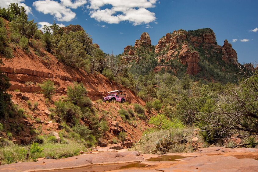 Introductory Scenic Rim Adventure 4