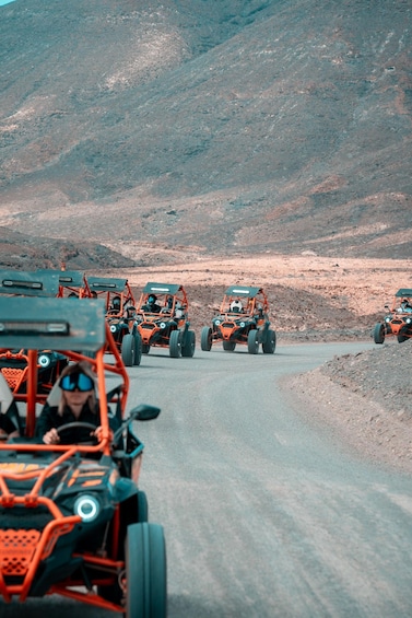 Fuerteventura: Jandía Natural Park & The Puertito Buggy Tour 2