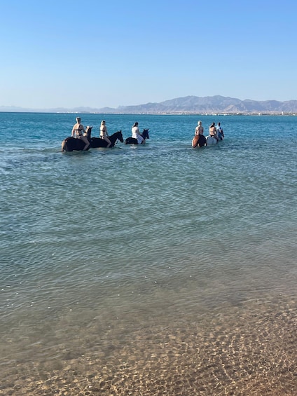 People riding horses in shallow water with a clear view of distant mountains. 5