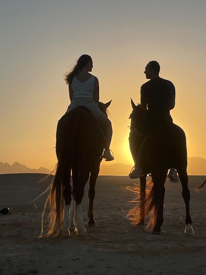 Two people riding horses on a beach at sunset. 4