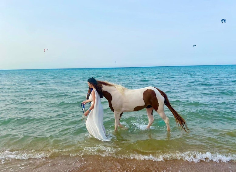 A person leading a horse through shallow water near a beach. 3