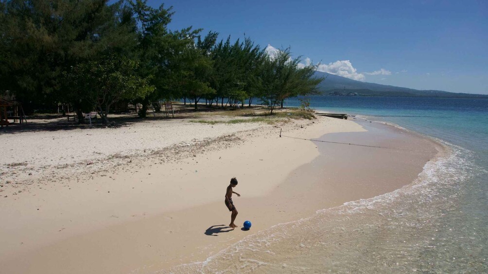 A beach with clear water, a person playing with a ball, and trees in the background. 3