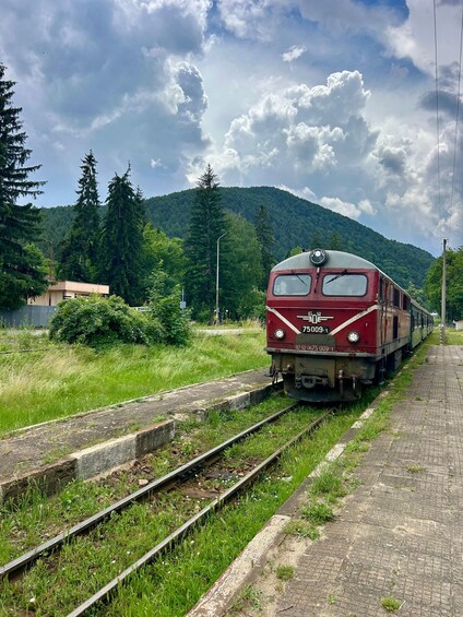 Picture 16 for Activity Sofia: Scenic Retro Train, Belmeken Lake & Wine/Thermal trip 2