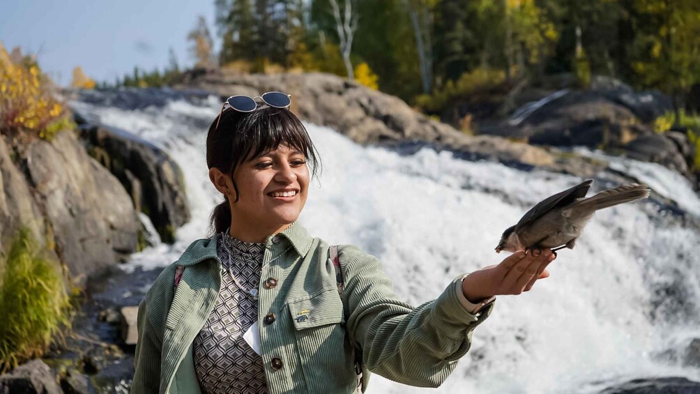A person holding a bird near a waterfall in a forested area. 1
