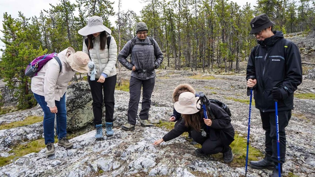 A group of people hiking in a rocky terrain with trees in the background. 2