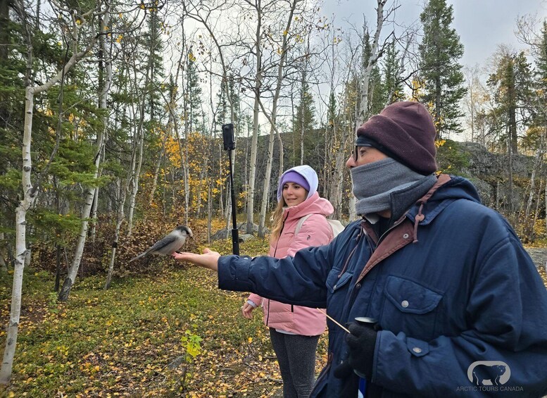 Two people in a forested area with a bird feeder, one person feeding a bird. 5