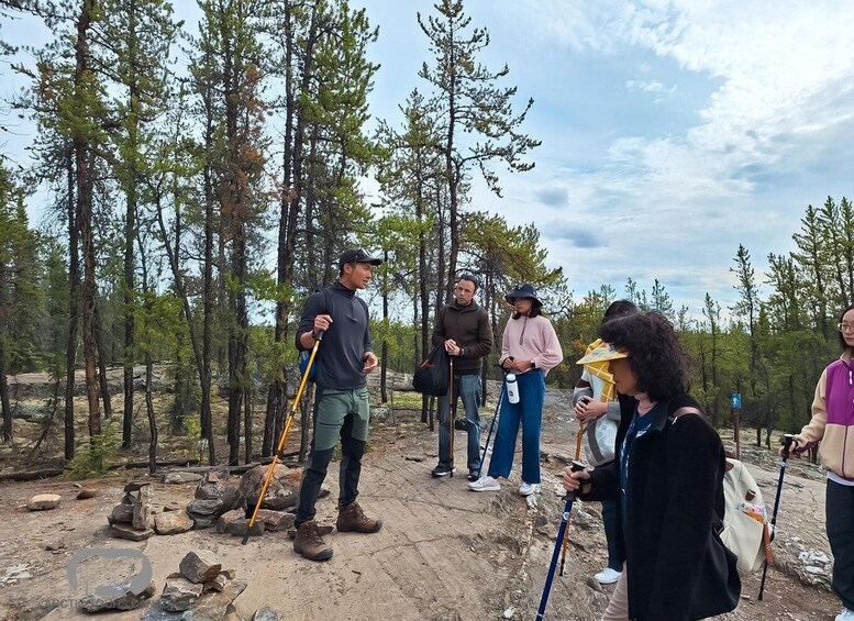 A group of people hiking in a forest with a clear sky. 3