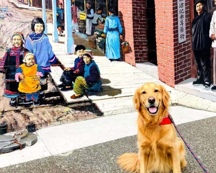A golden retriever on a leash, a group of people in traditional attire, and a brick building with a sign. 2