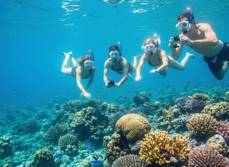 A group of divers swimming underwater with coral reefs and fish. 5