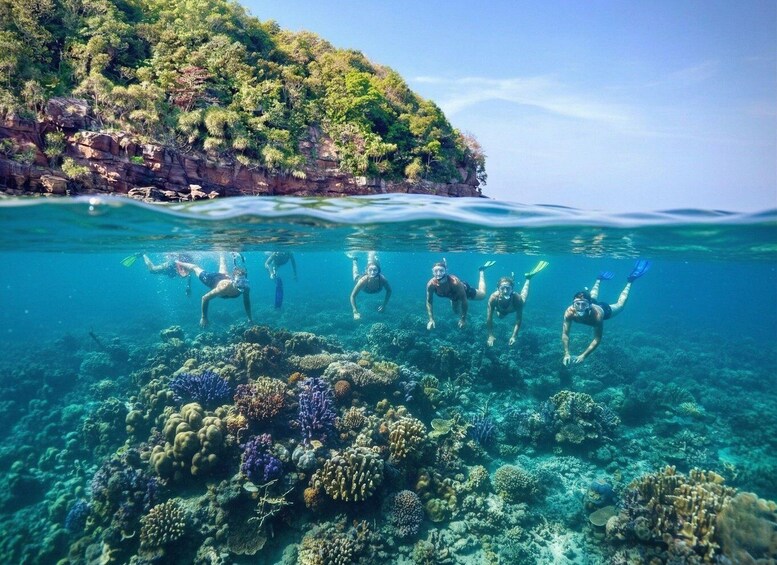 A group of people snorkeling underwater near a coral reef with a forested cliff in the background. 1