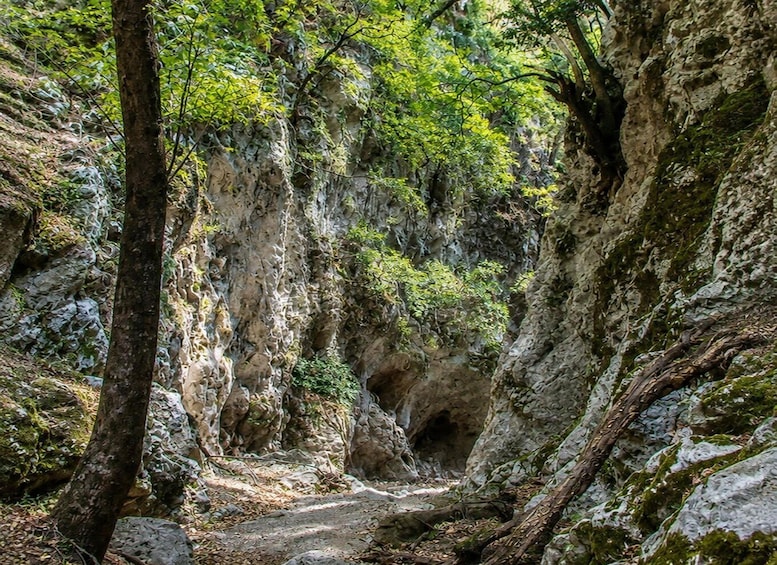 Picture 1 for Activity Chania: Best Alternative to Samaria Gorge - Private Tour 4