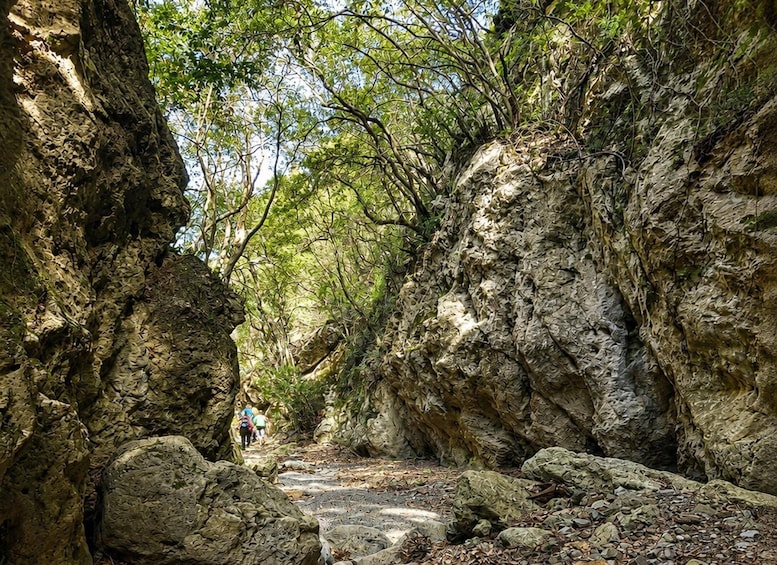 Picture 14 for Activity Chania: Best Alternative to Samaria Gorge - Private Tour 2