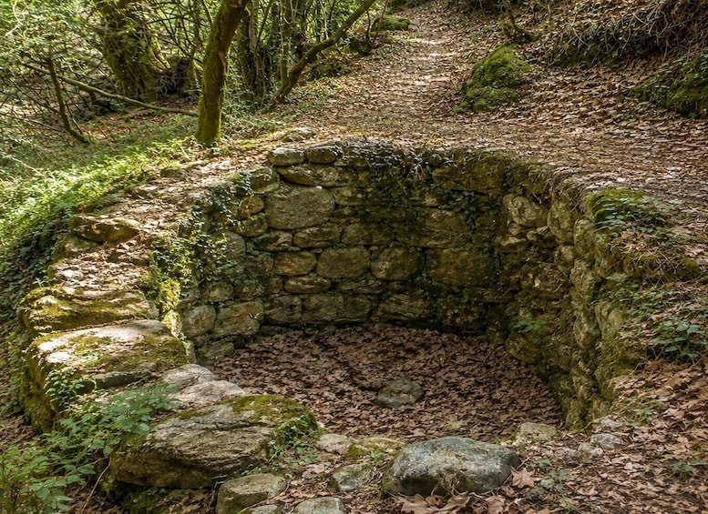 Picture 23 for Activity Chania: Best Alternative to Samaria Gorge - Private Tour 3