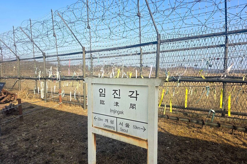 Picture 11 for Activity Seoul: DMZ Guided Tour with N.K.Defector, Gondola, Bridge 2