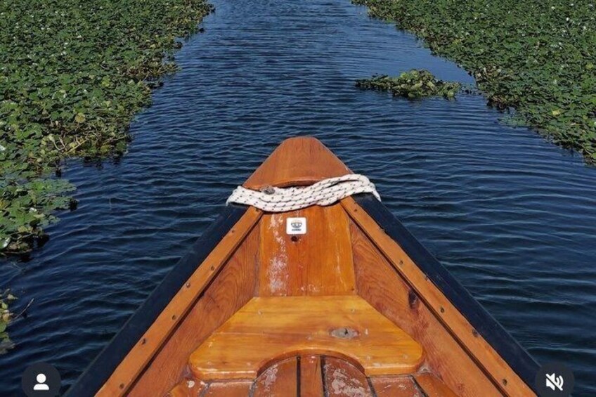 Un’imbarcazione di legno su un fiume calmo, circondata da vegetazione verde. 2