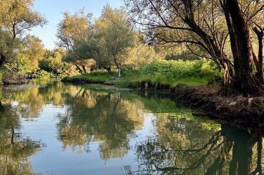 Un fiume tranquillo con alberi riflessi nell'acqua, circondato da vegetazione. 4