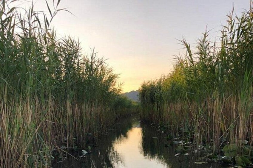 A narrow waterway flanked by tall grasses and reeds. 2