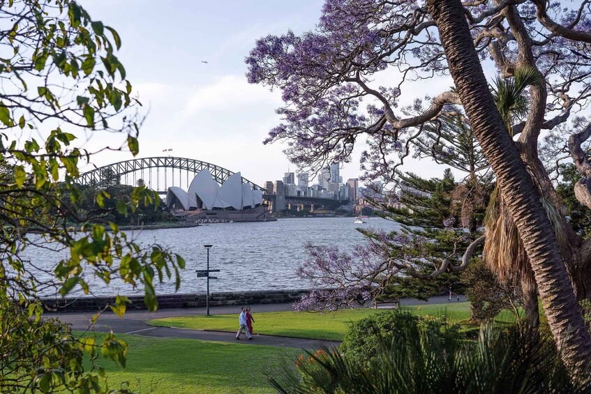A park with a walking path, a large tree, and a view of the Sydney Opera House across the water. 1