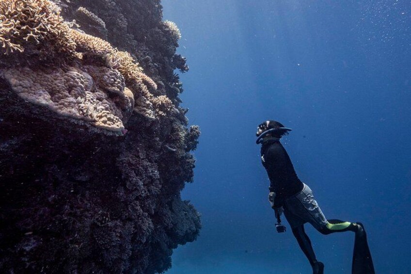 2 Day Fly & Sail Outer Reef Experience Combo from Cairns 3