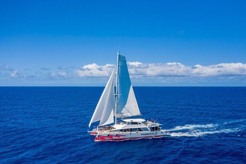 2 Day Fly & Sail Outer Reef Experience Combo from Cairns 5