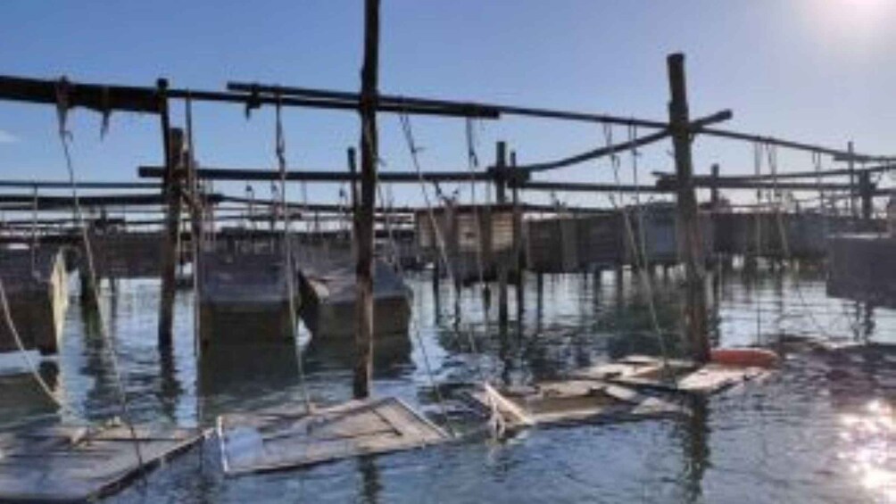 A harbor with boats and wooden structures. 3