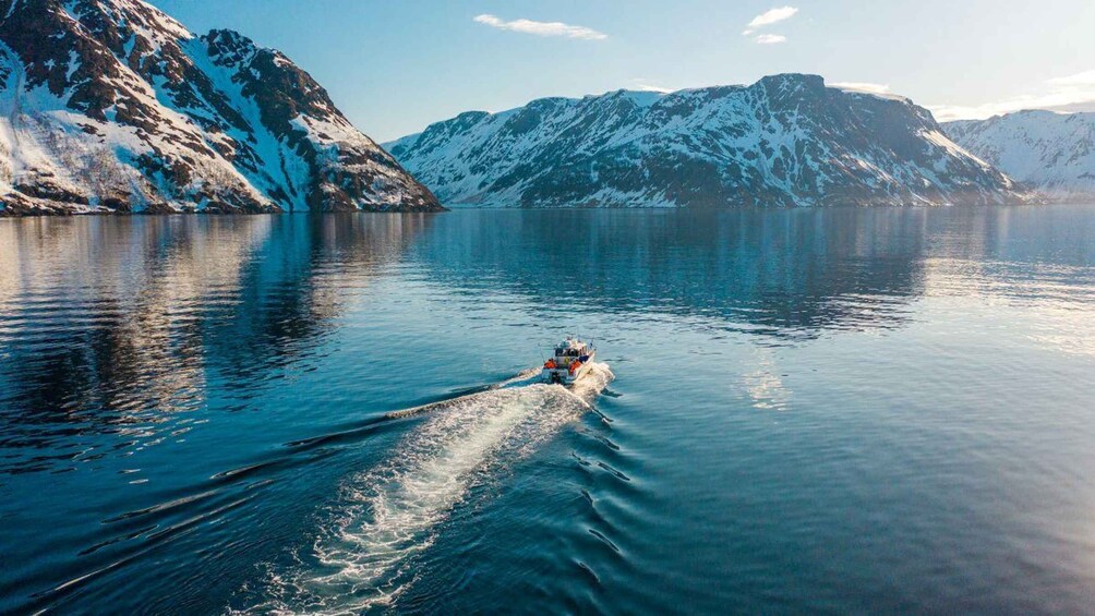 Picture 2 for Activity From Alta: Adventure Cruise in Alta Fjord 3