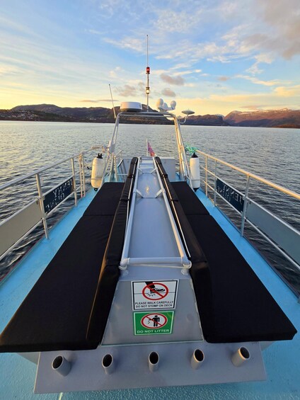 Picture 5 for Activity From Alta: Adventure Cruise in Alta Fjord 5