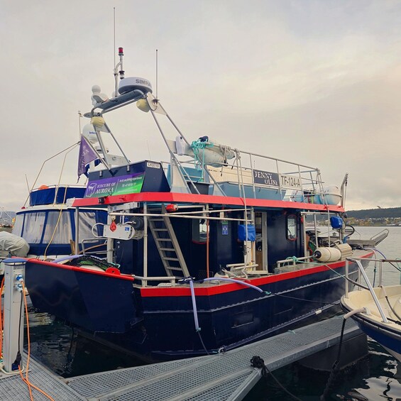 Picture 4 for Activity From Alta: Adventure Cruise in Alta Fjord 2