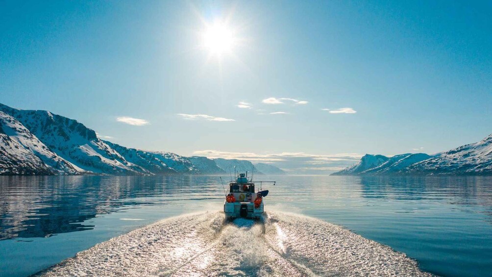 From Alta: Adventure Cruise in Alta Fjord 1
