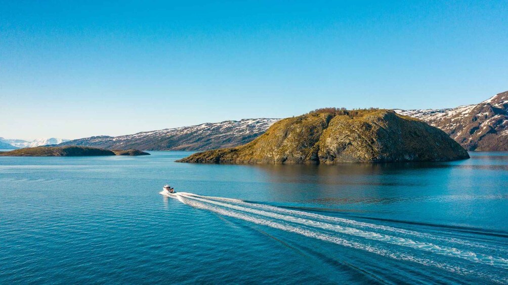 Picture 1 for Activity From Alta: Adventure Cruise in Alta Fjord 4
