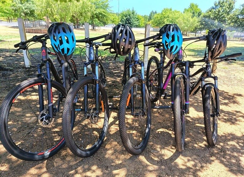 Four bicycles with helmets, parked on a dirt path with trees in the background. 3