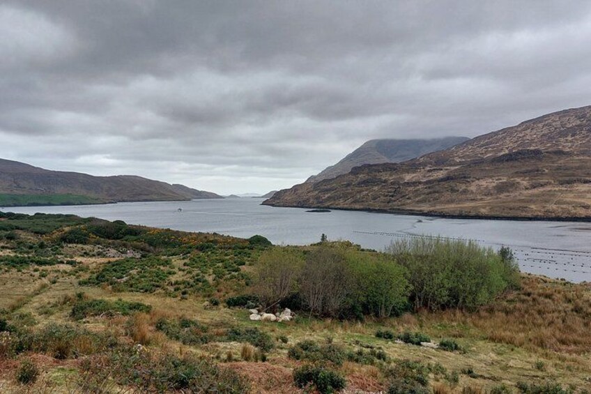 Un lac entouré de collines et d’une végétation clairsemée. 5
