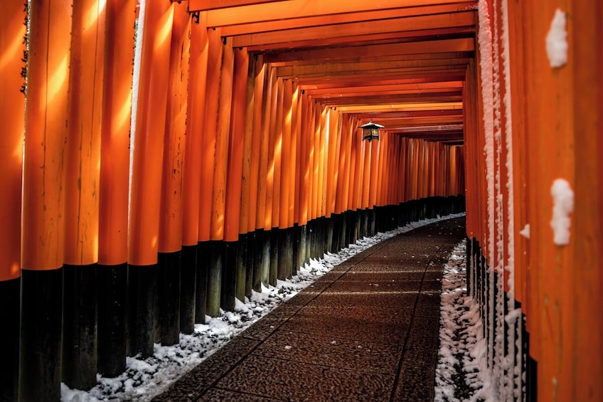 Oransseista torii-porteista muodostuva käytävä, joka johtaa pyhäkköön. 1