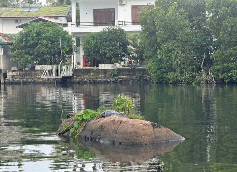 Picture 3 for Activity Koggala Lake Private Couple's Boat Safari & Cinnamon Island 2