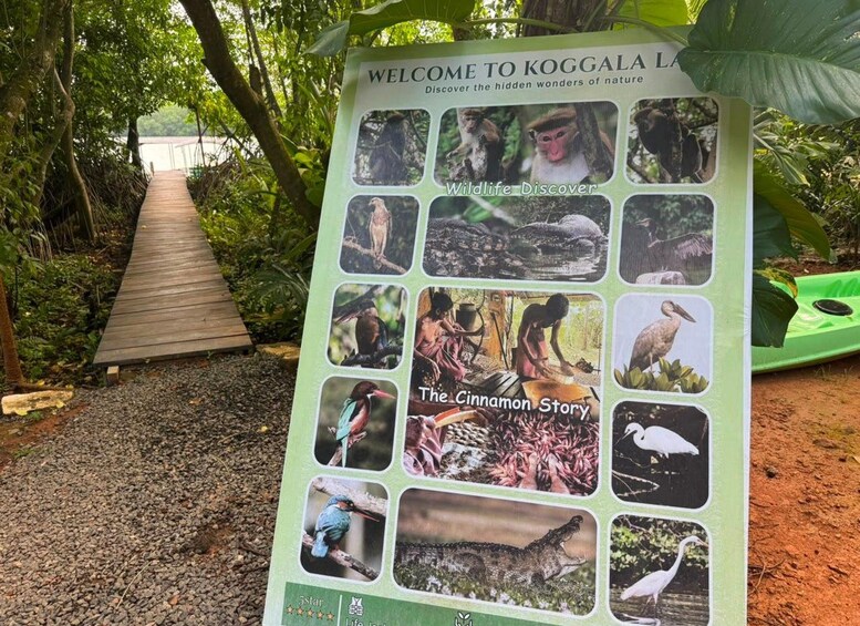 Picture 8 for Activity Koggala Lake Private Couple's Boat Safari & Cinnamon Island 2