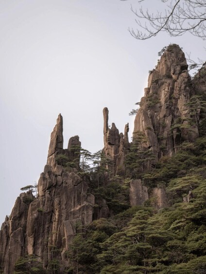 A rugged mountain with prominent rock formations and dense forest. 5