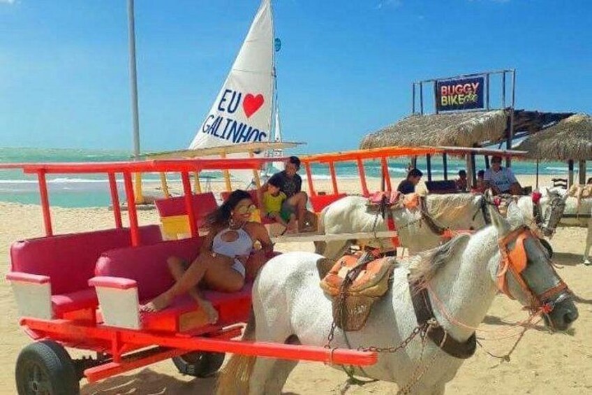 Una spiaggia con una carrozza trainata da cavalli, un cartello con scritto 'EU ♥ GALINHOS' e un cartello che dice 'BUGGY BIKE'. 3
