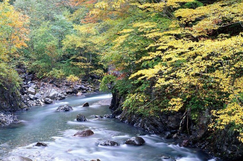 Shirahone＆Naraijuku,MatsumotoNagano,Private car tour,Spanishguide 4