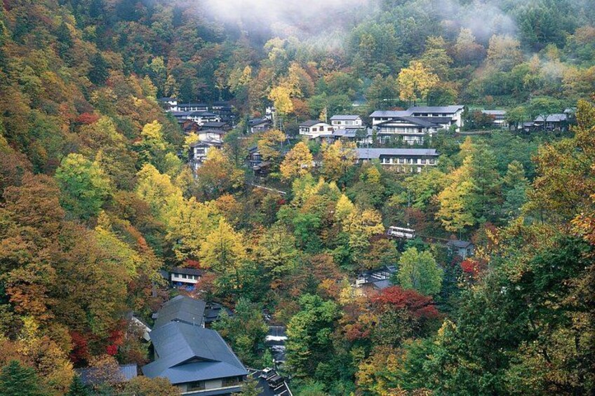 Shirahone＆Naraijuku,MatsumotoNagano,Private car tour,Spanishguide 2